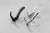 CORDOBA_rodzina.webp