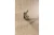 WZ-LENS-06_2.webp
