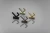WZ-LENS__.webp
