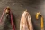 WZ-LENS-18 (1).webp