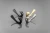 WZ-ORA___2.webp