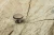 CENTO_GS_CENTO-1-04_galka_antyczny_mosiadz.webp