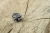 CENTO_GS_CENTO-1-07_galka_antyczne_srebro.webp